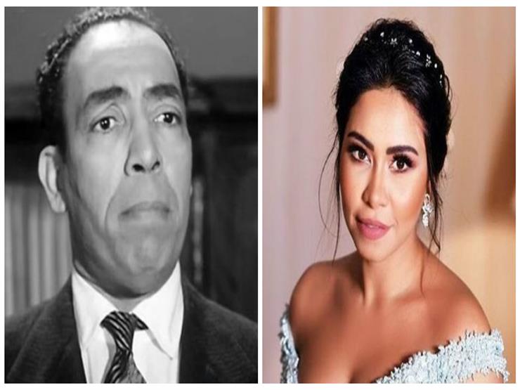 هل ينقذ إسماعيل ياسين العروس من حكم “البلهارسيا”؟ جلسة جديدة لشيرين والمحامي بحوزته دليل يبرِّئها