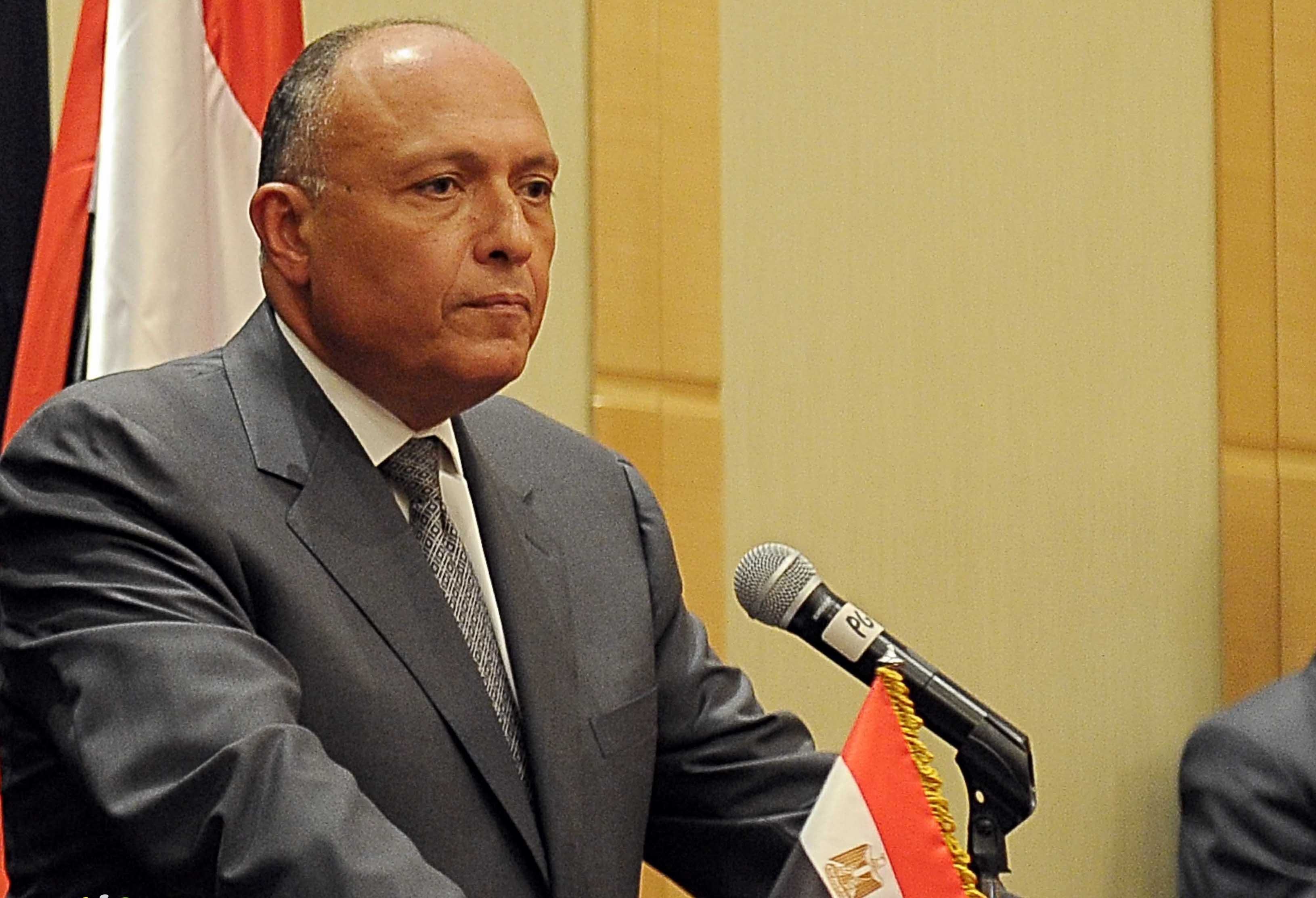 استطلاع لـ”روسيا اليوم” يغضب الرئاسة المصرية من موسكو.. القناة تصدر توضيحاً بعد إلغاء وزير الخارجية شكري لقاءه معها