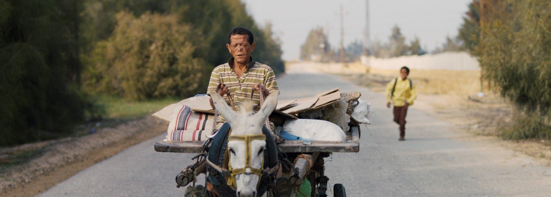 السجن وبيروت والفقراء والحبّ في السبعين.. تعرَّف على 7 أفلام عربية مرشحة للأوسكار