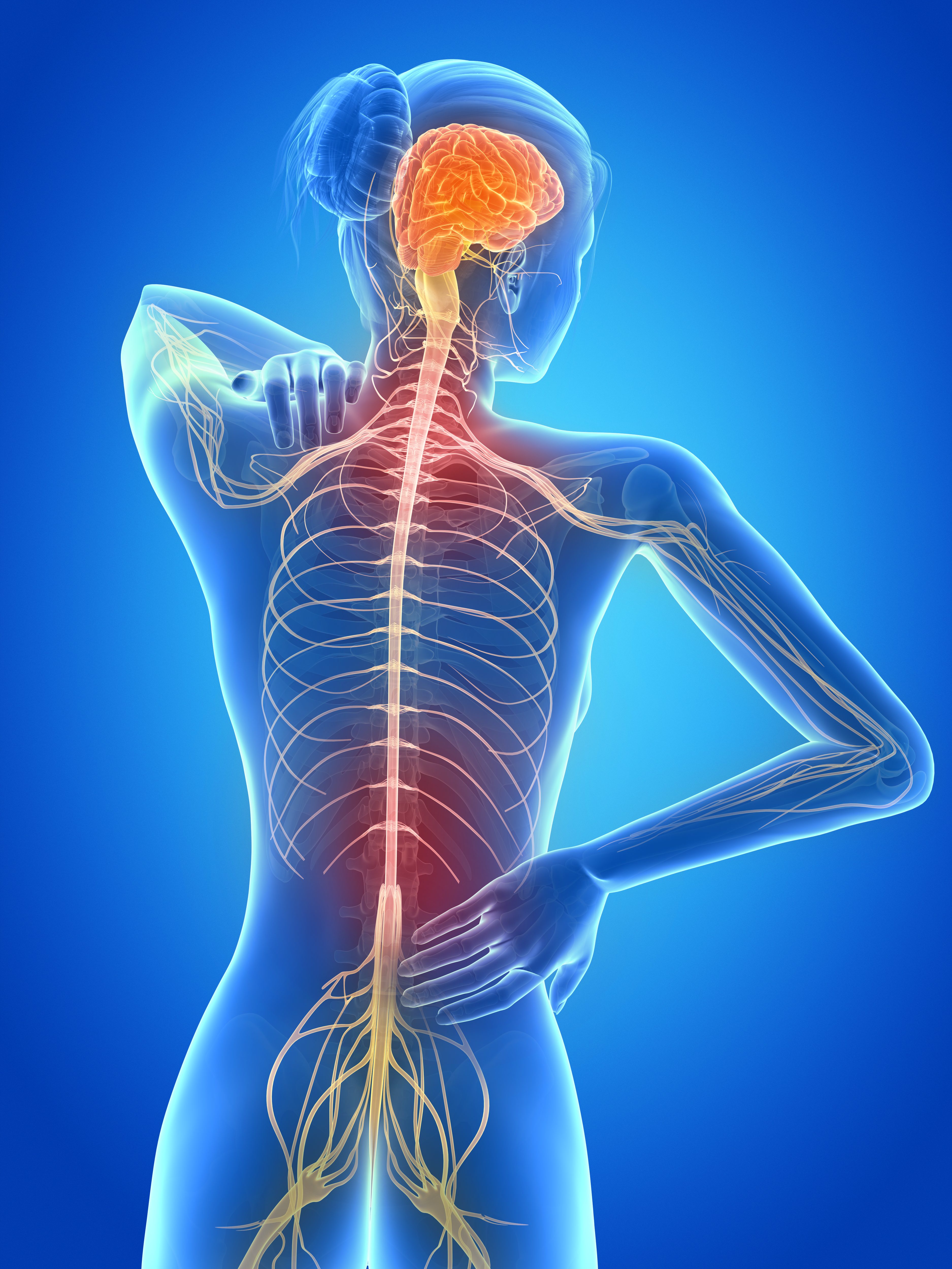 multiple sclerosis التصلب المتعدد