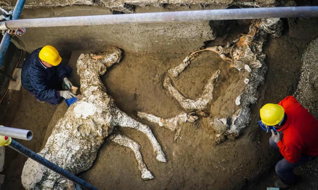 بقايا متحجرة لحصان في مدينة بومبي الإيطالية