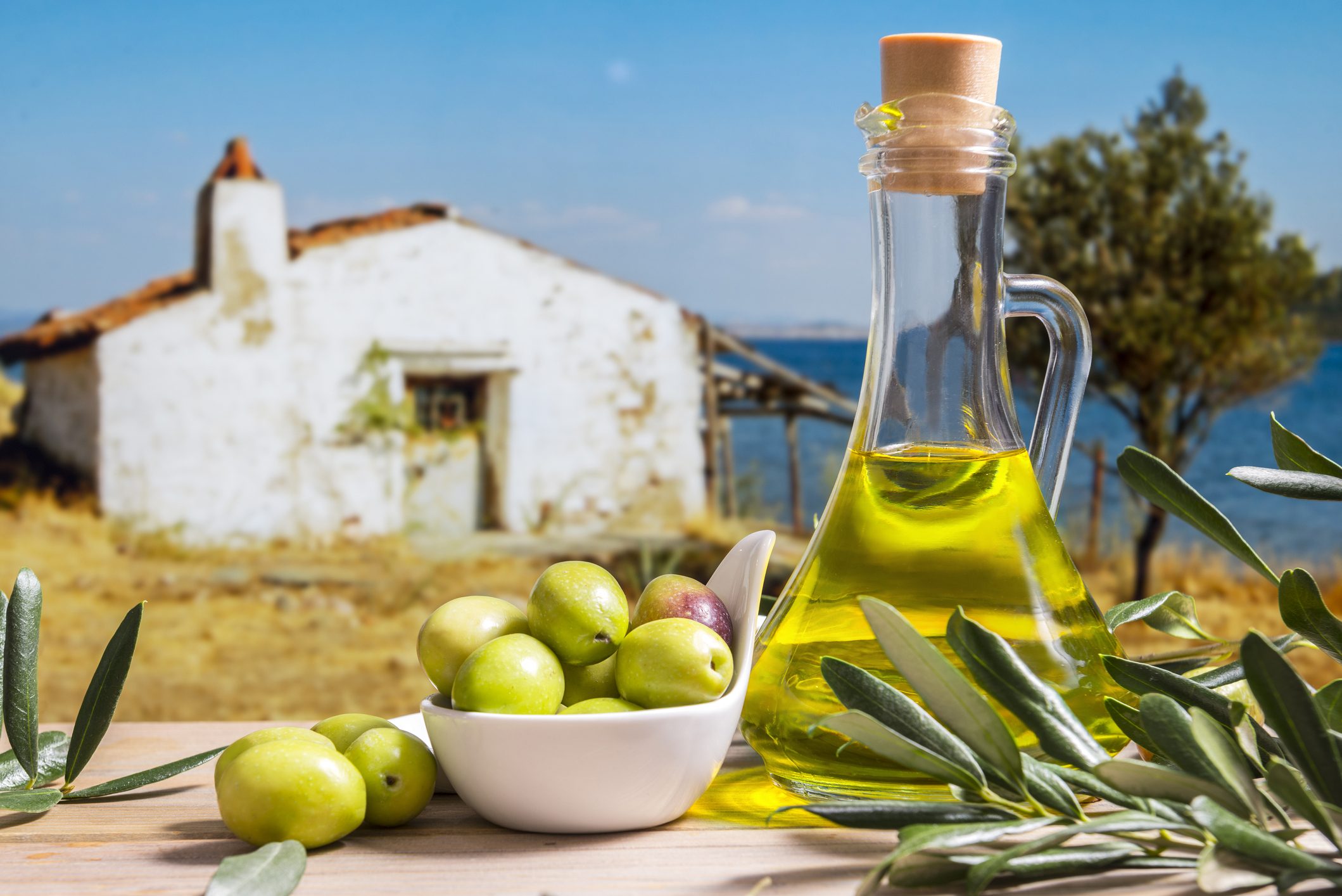 سر زيت الزيتون التونسي