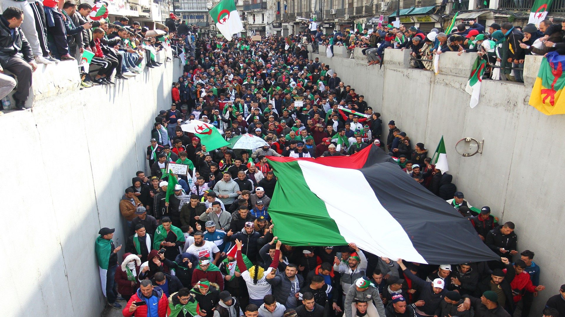 عكس ما يُروَّج: فلسطين حاضرة لدى الشباب العربي وليسوا راضين عن أنظمتهم، استطلاع يكشف أرقاماً مثيرة