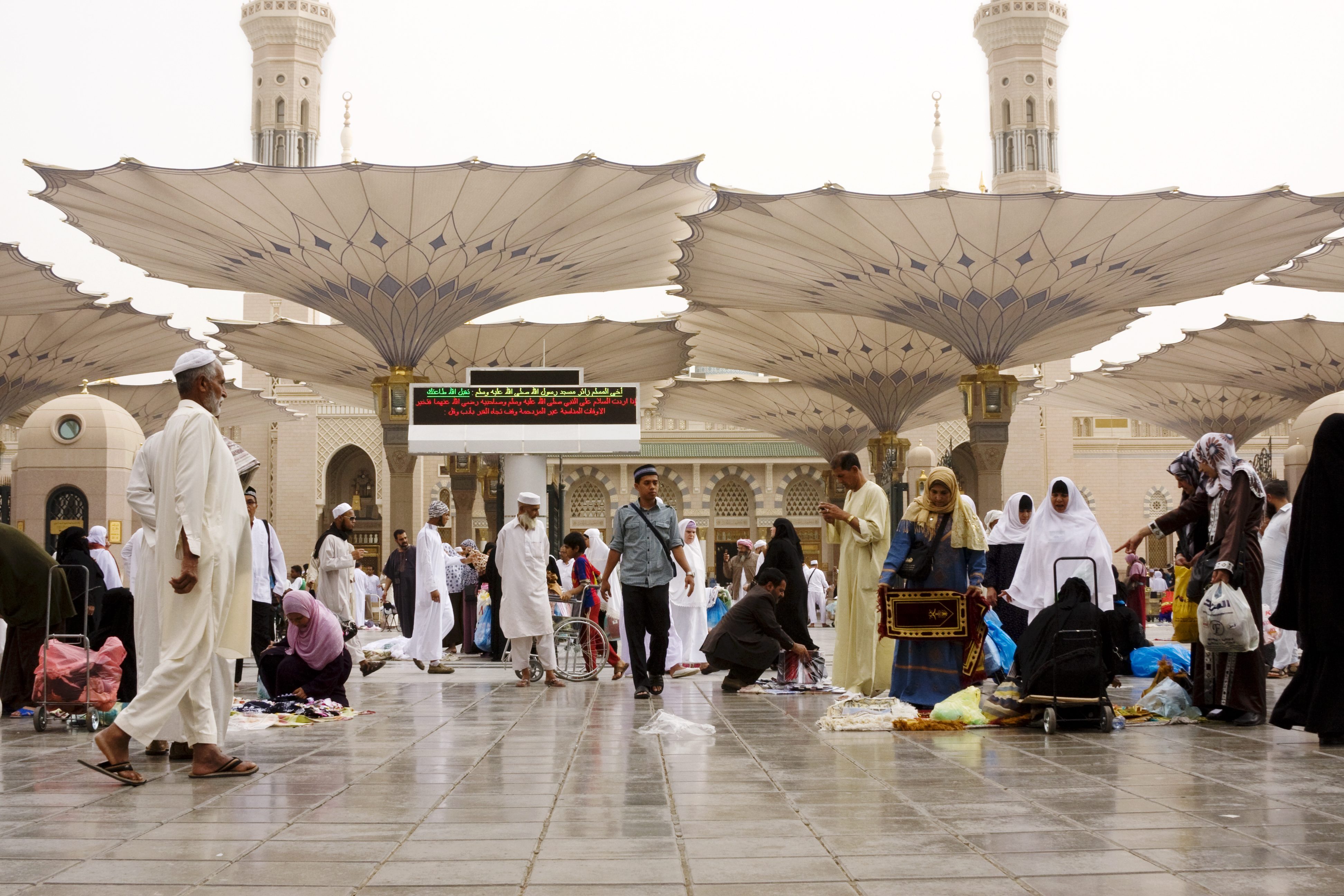 شالوم المدينة المنورة
