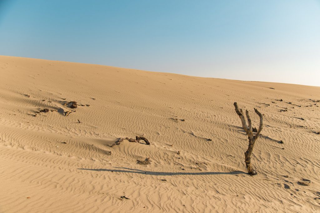 ستموت كل الحياة على الأرض بعد اختفاء المحيطات