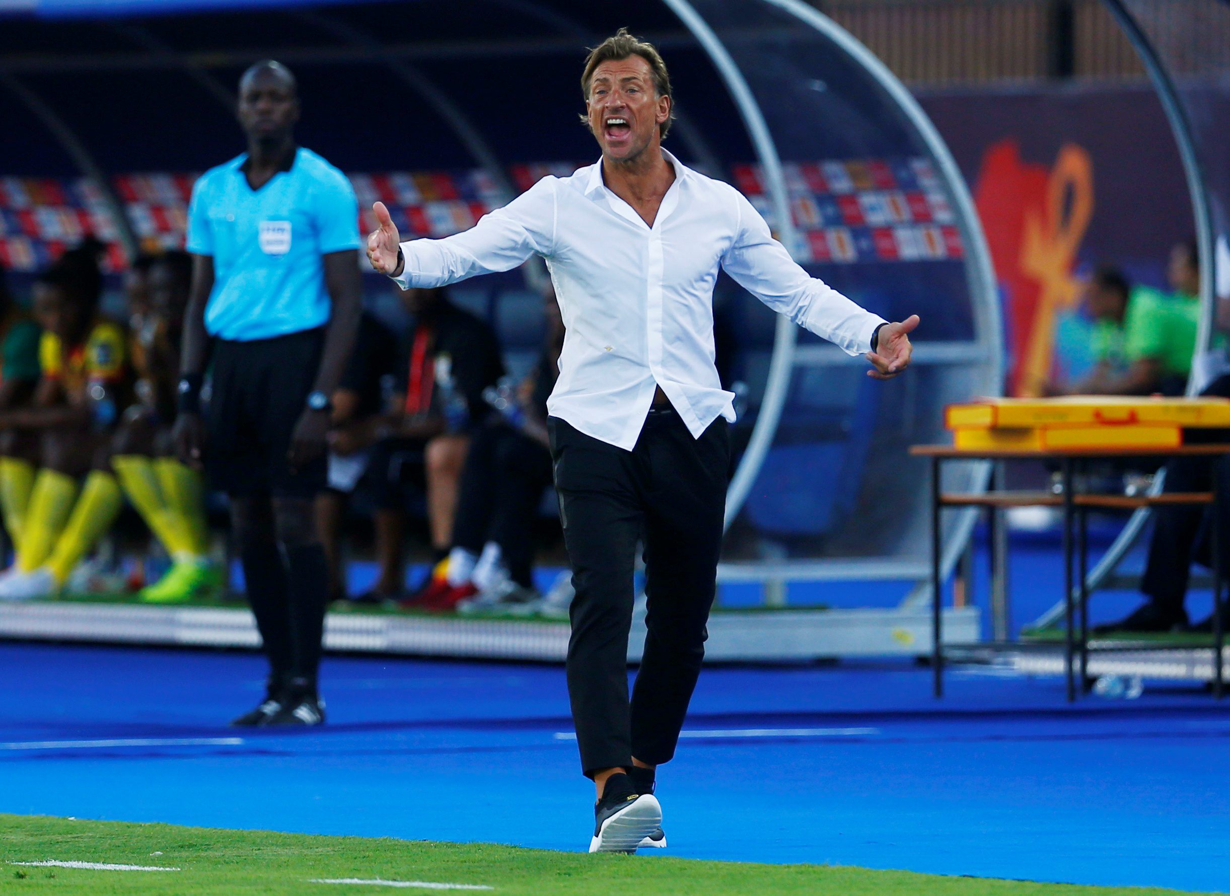 مدرب المغرب هيرفي رونار كأس إفريقيا