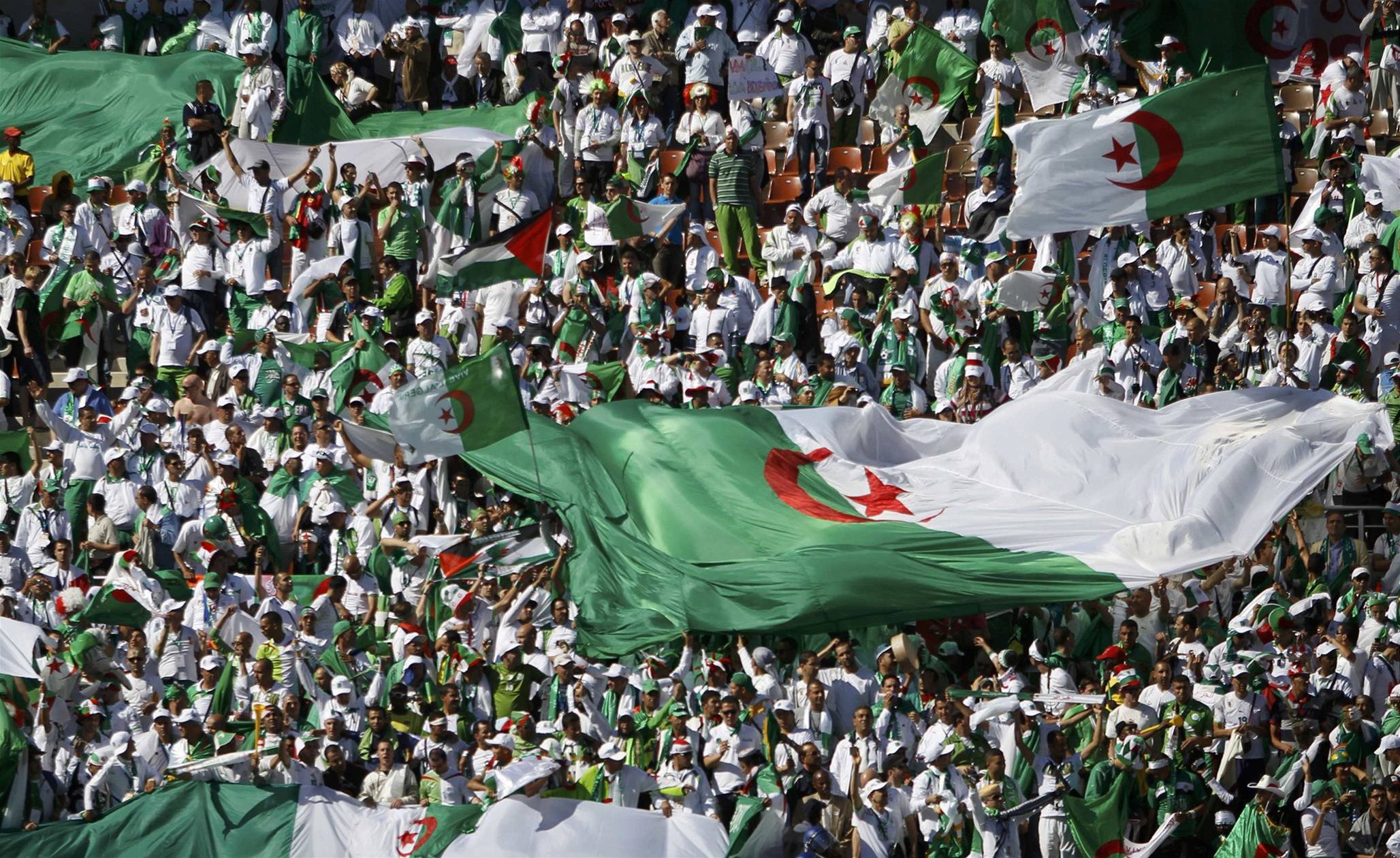 بالفيديو.. هكذا هتف الجزائريون ضد السيسي في مباراة نادي بلوزداد وبيراميدز المصري