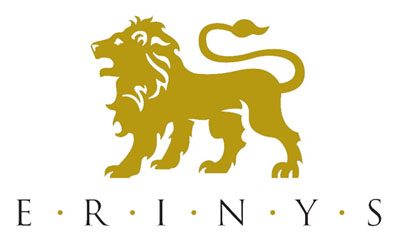 شركة Erinys International