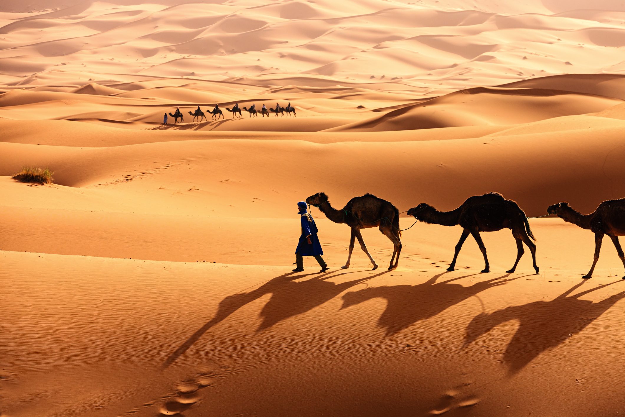 أهم الطرق التجارية التي عرفها التاريخ