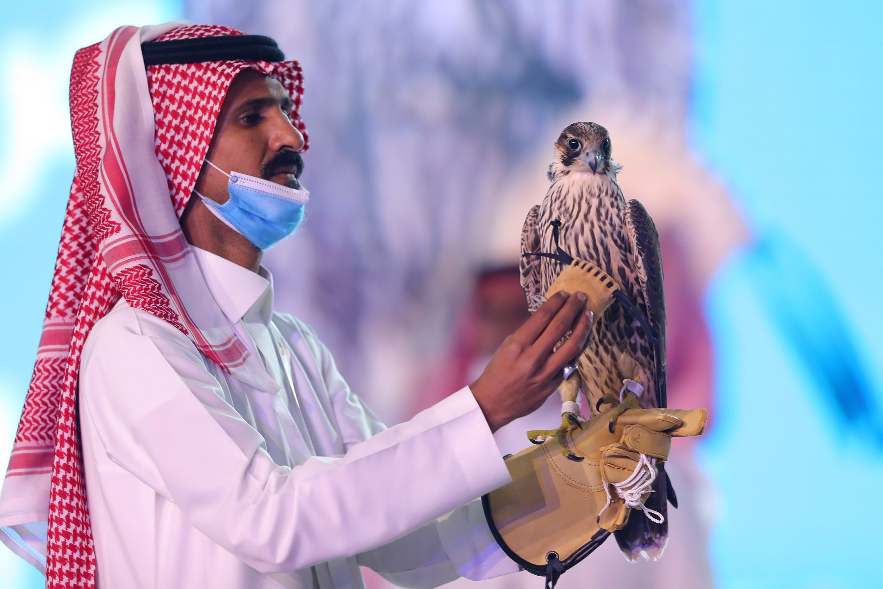 أضخم عملية بيع من نوعها على الإطلاق.. صقر من سلالة “الشاهين” يحطم الرقم القياسي في مزاد بالسعودية