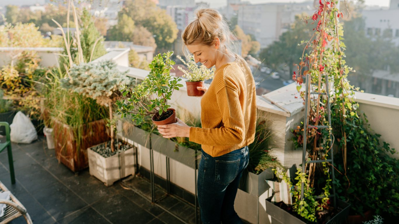 iStock/ أخطاء شائعة تتسبب بموت النباتات