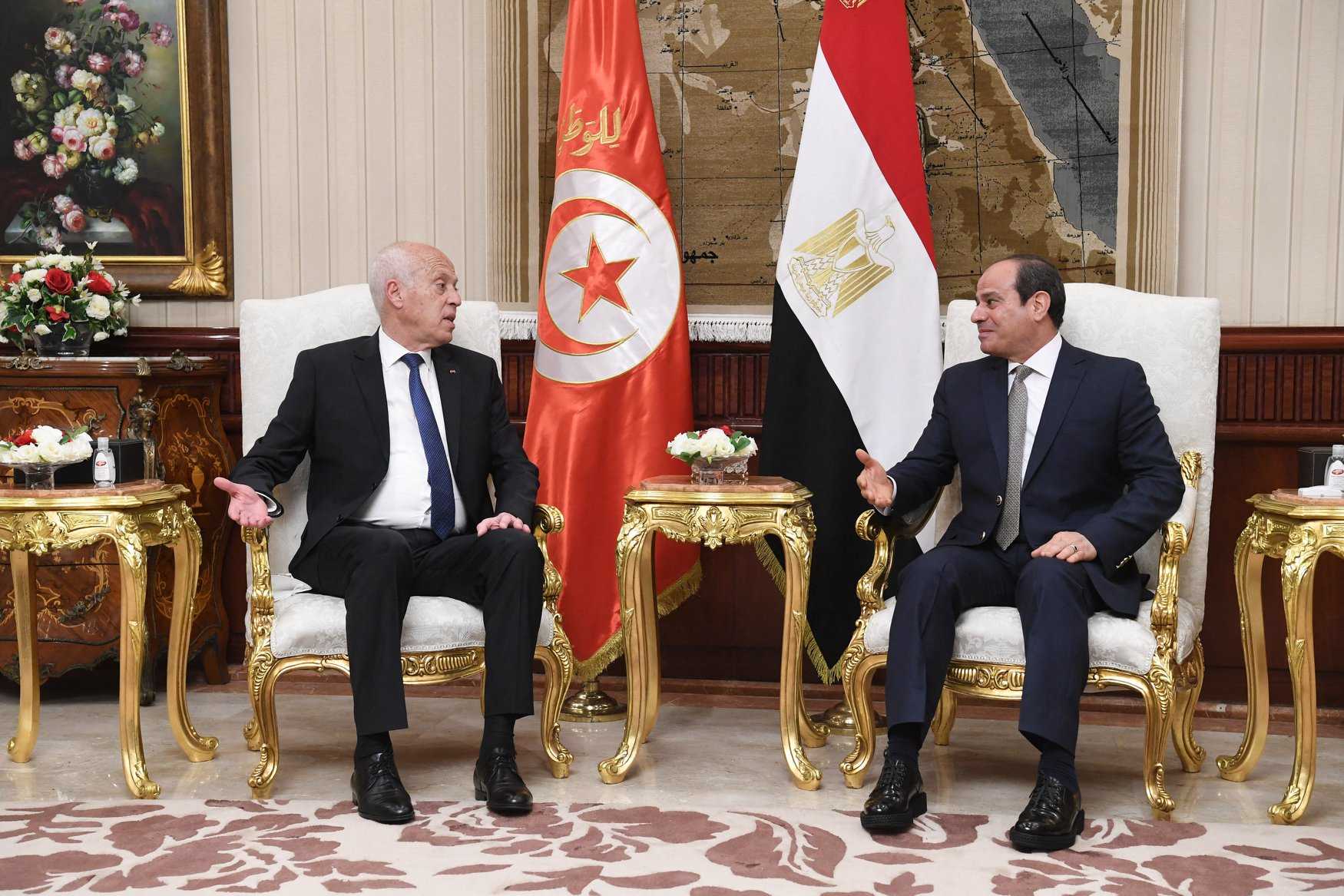 قمة ثنائية تجمع رئيسَي مصر وتونس.. السيسي يؤكد أهمية التعاون، وسعيّد: أمن مصر القومي أمننا