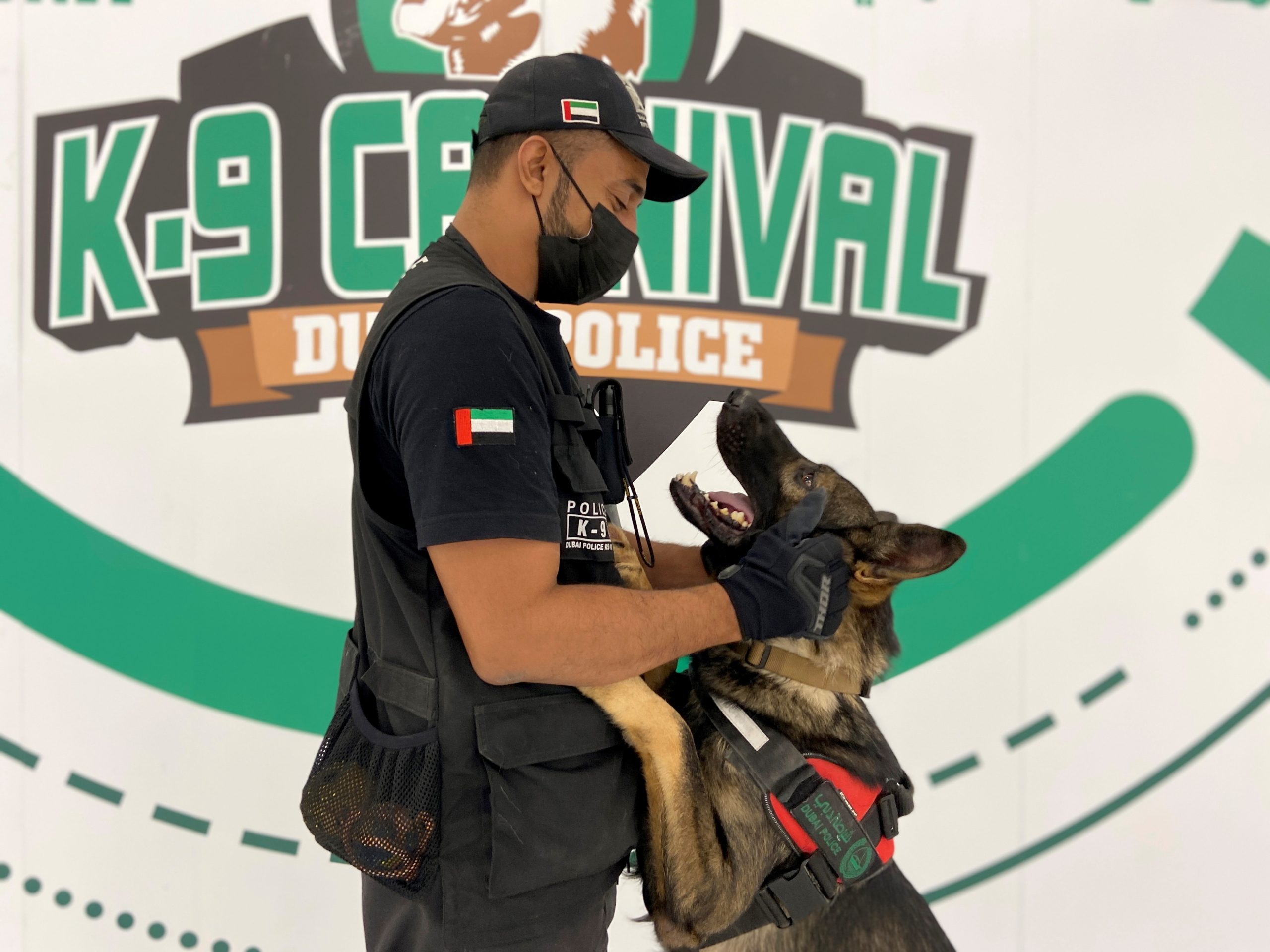 كورونا الإمارات الكلاب