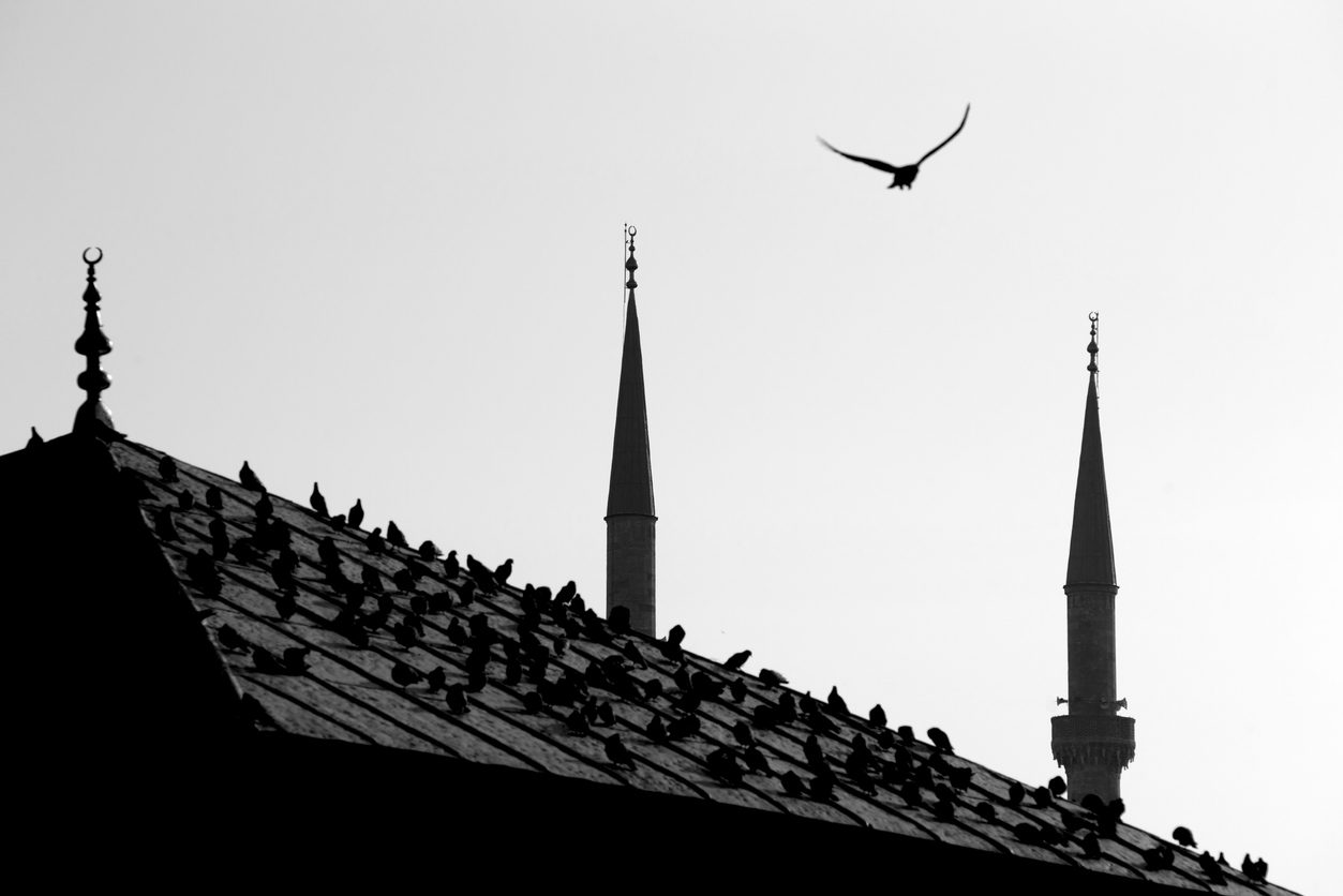 صديقي عليّ الذي علمني الكثير.. /Istock - صورة تعبيرية
