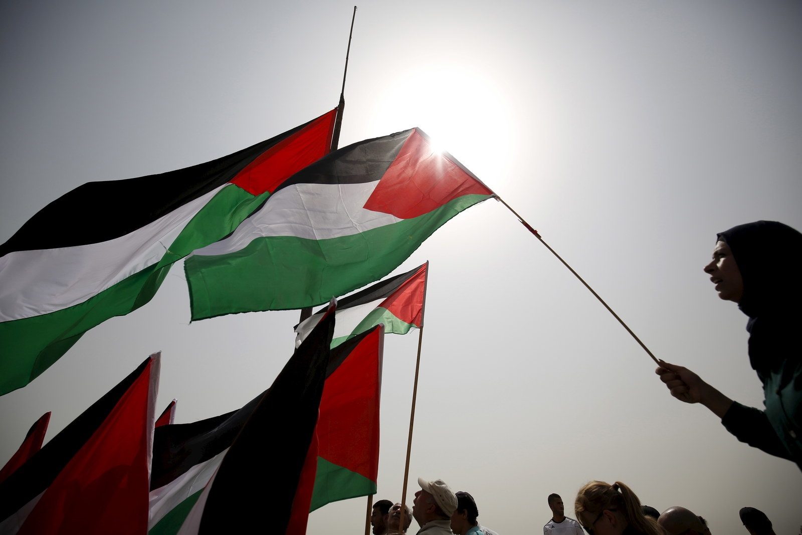 أنا دمي فلسطيني