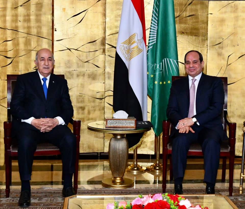 دعم مصر والجزائر لتونس