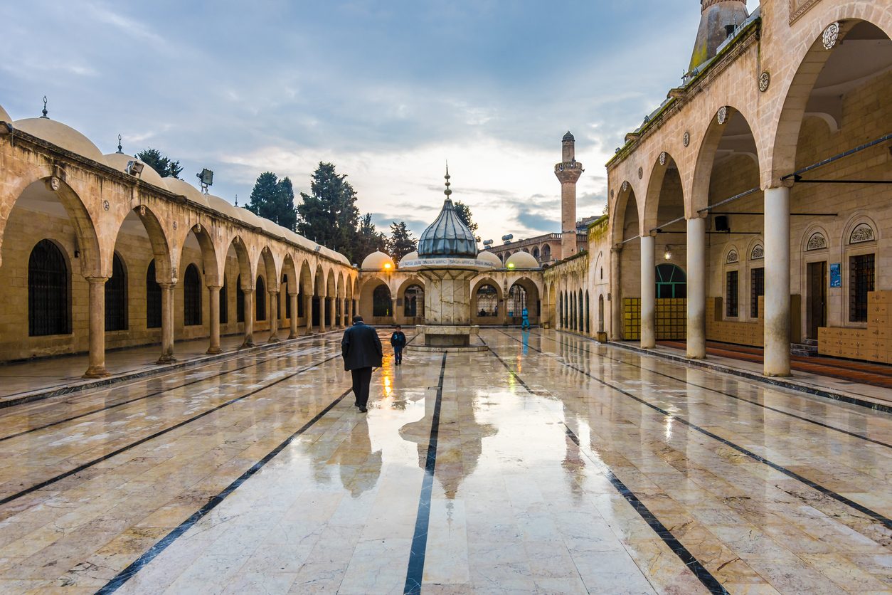 التضامن الاجتماعي