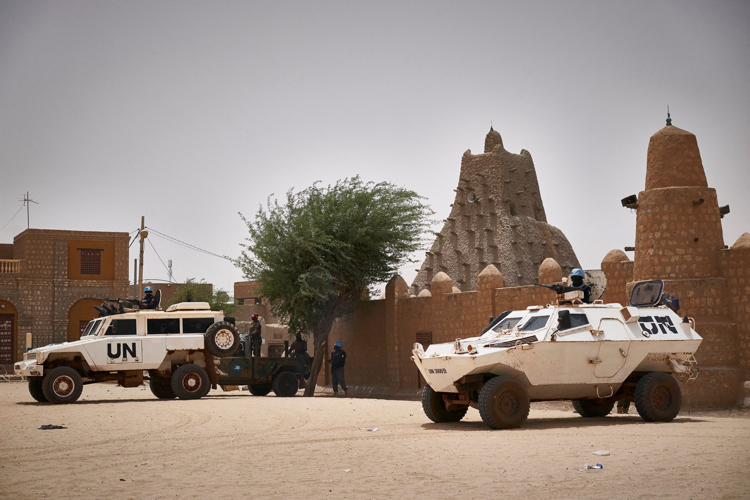 الجيش المصري مالي الجزائر