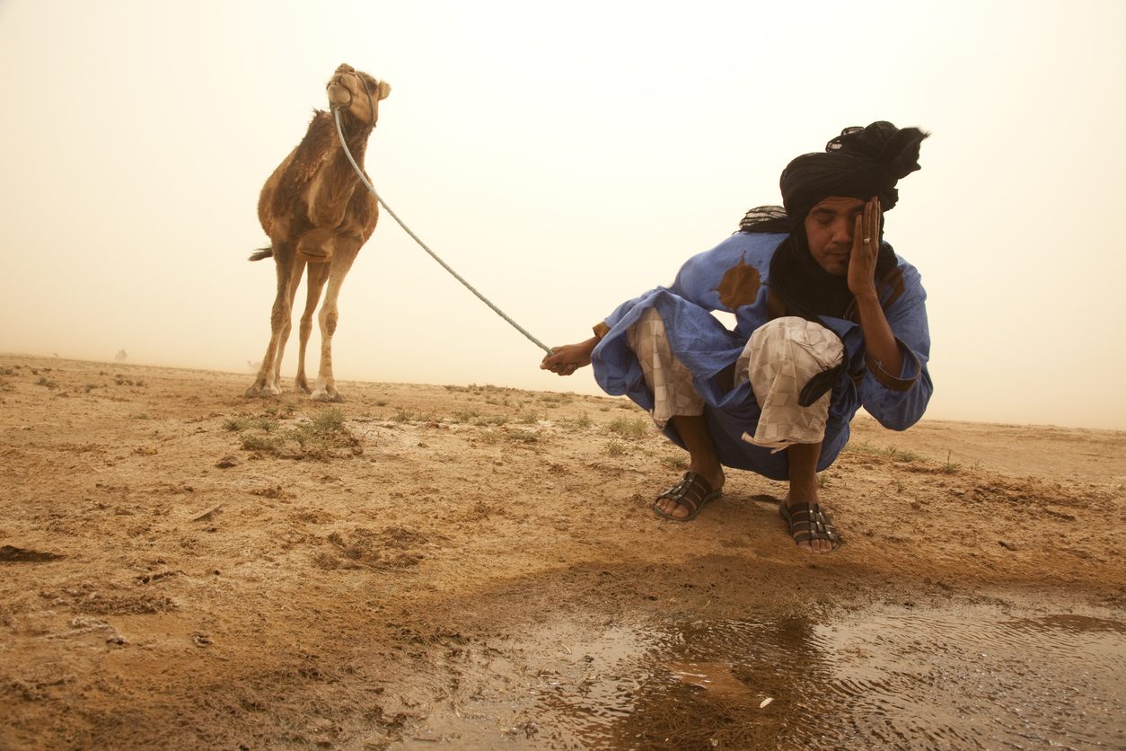 البادية والفلاحة المغربية
