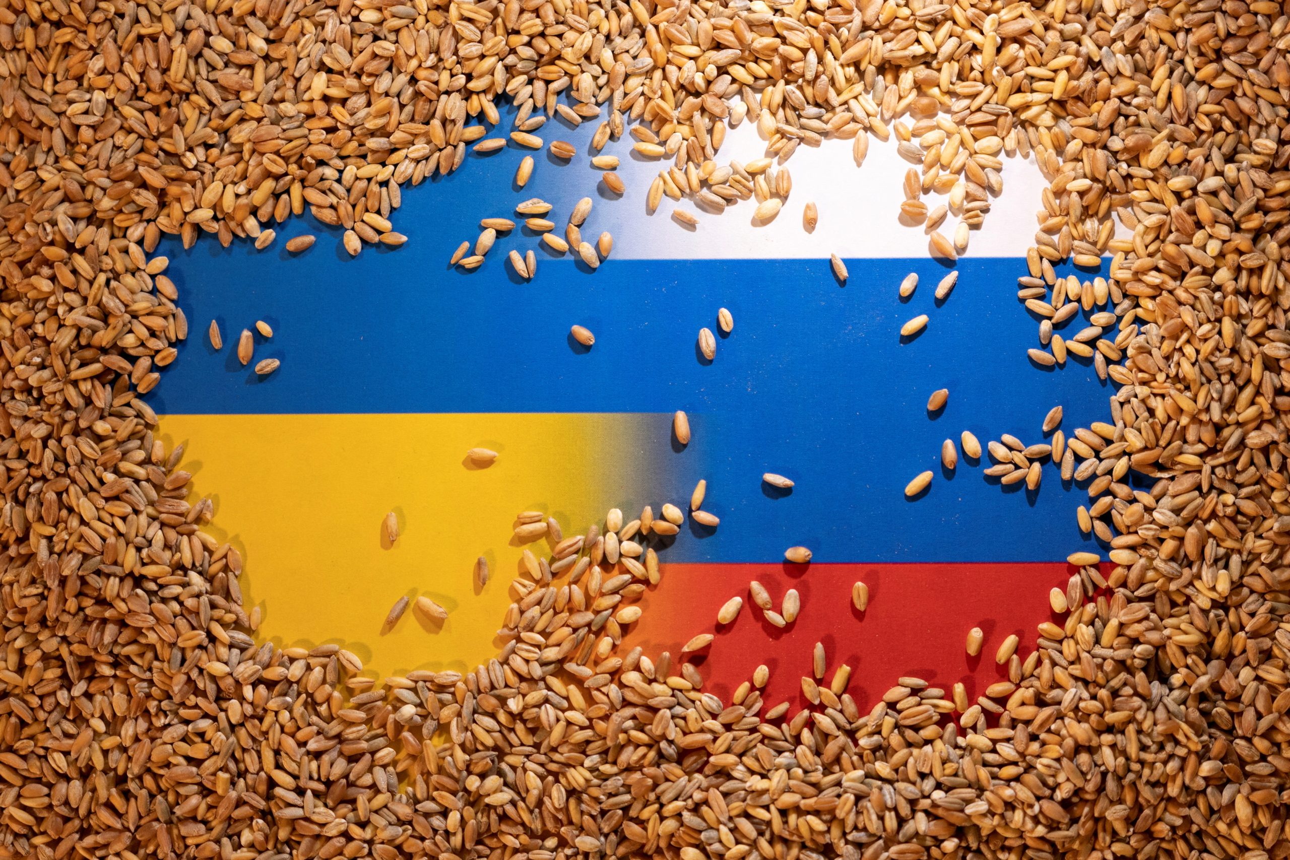 الحبوب الأوكرانية في قبضة موسكو.. بدأت في تصديرها إلى المناطق الروسية، وأوكرانيا تحذِّر من مجاعة