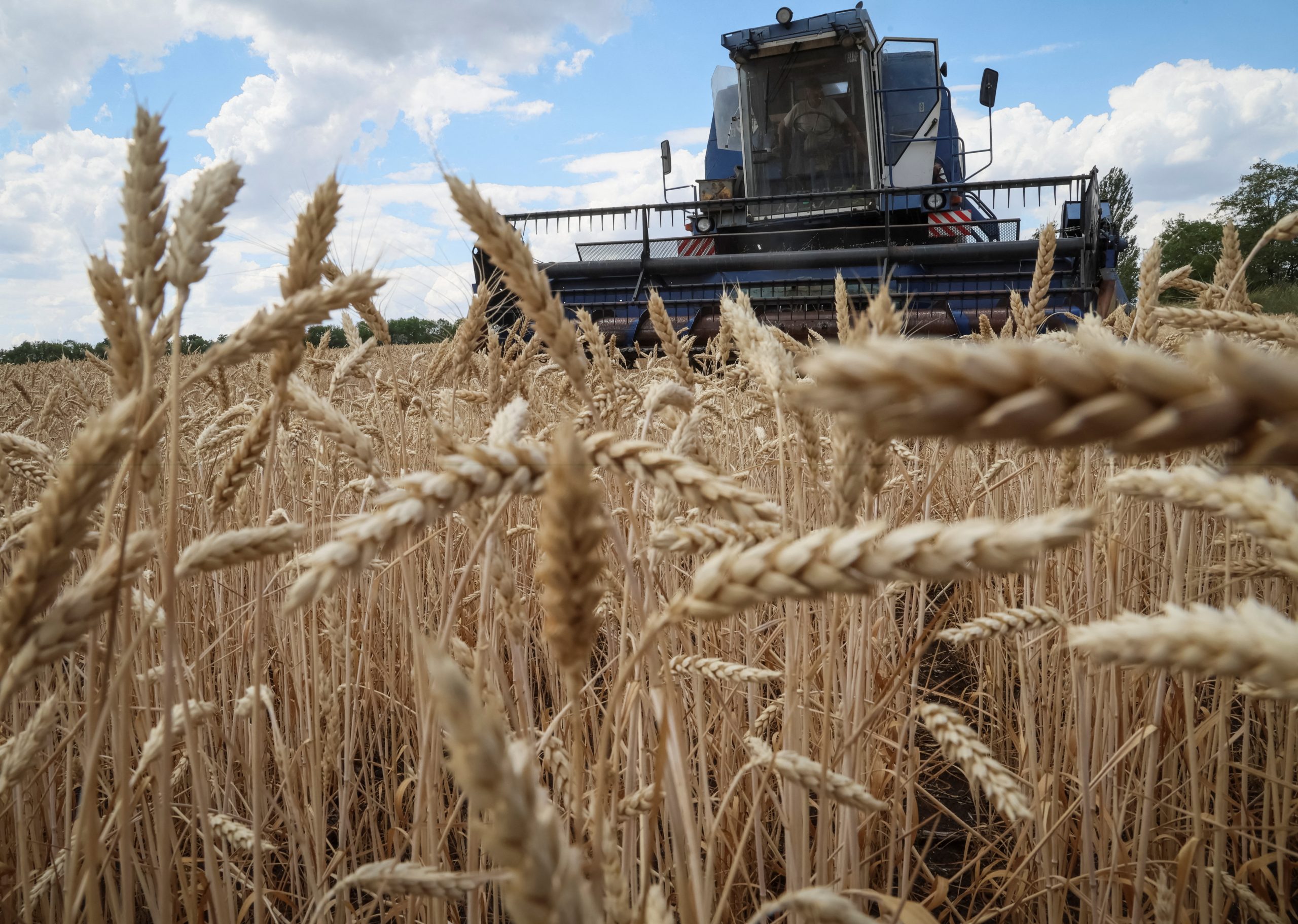 وثيقة استئناف صادرات الحبوب من أوكرانيا “شبه جاهزة”.. موسكو تشترط وجود شركاء روس في توريد الغذاء، وهذه مهامهم