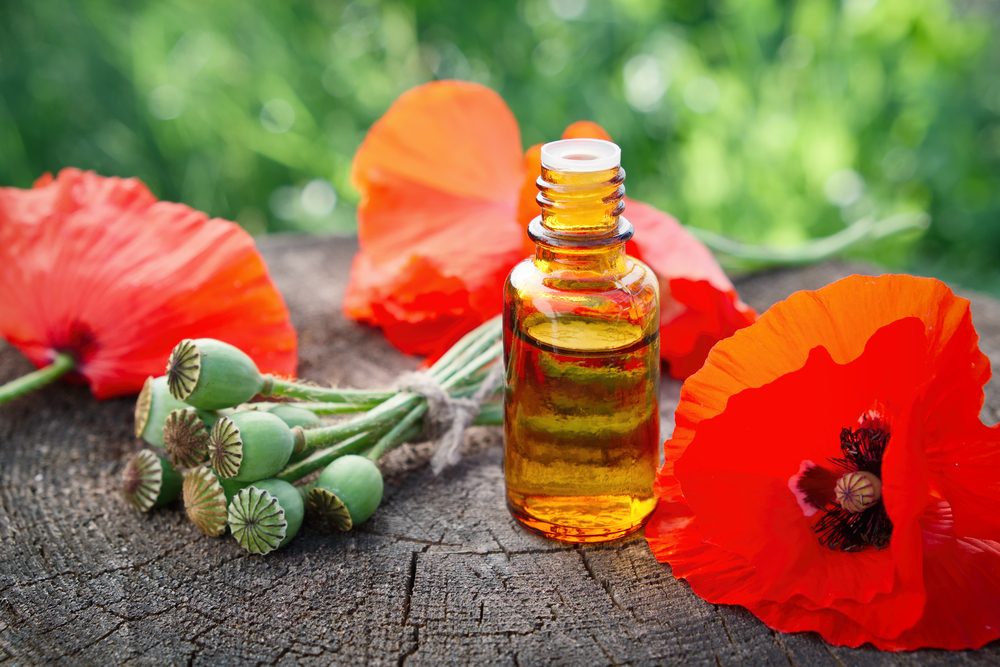 يُستخدم منذ آلاف السنين ويثار حوله الجدل لاستخلاصه من أخطر النباتات المخدرة.. ما هو زيت الخشخاش وفوائده؟