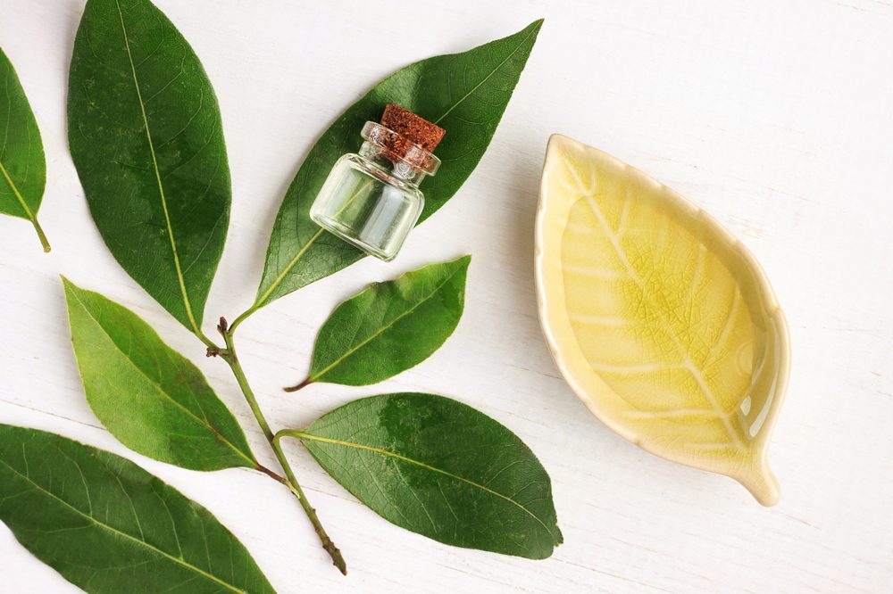 مستحضر عطري بمزايا متعددة.. 5 فوائد لزيت ورق الغار للعناية بالصحة والجلد