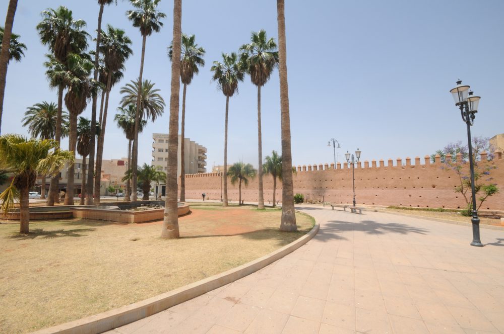 وجدة