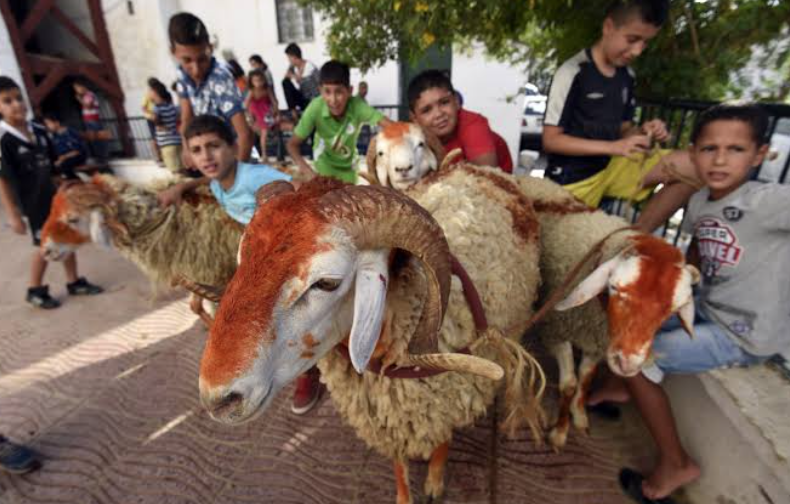 عيد الأضحى