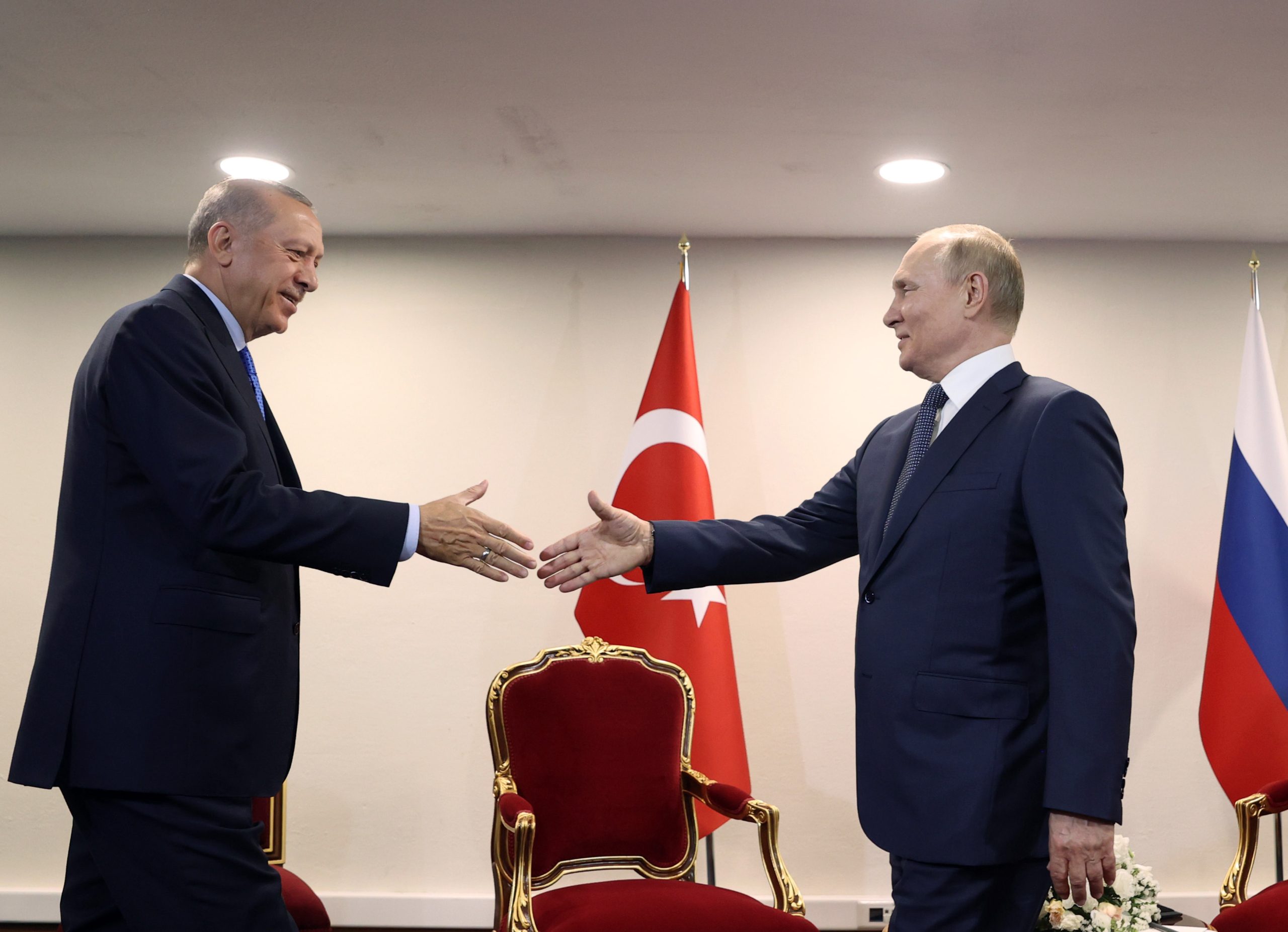 اتفاق الحبوب أردوغان