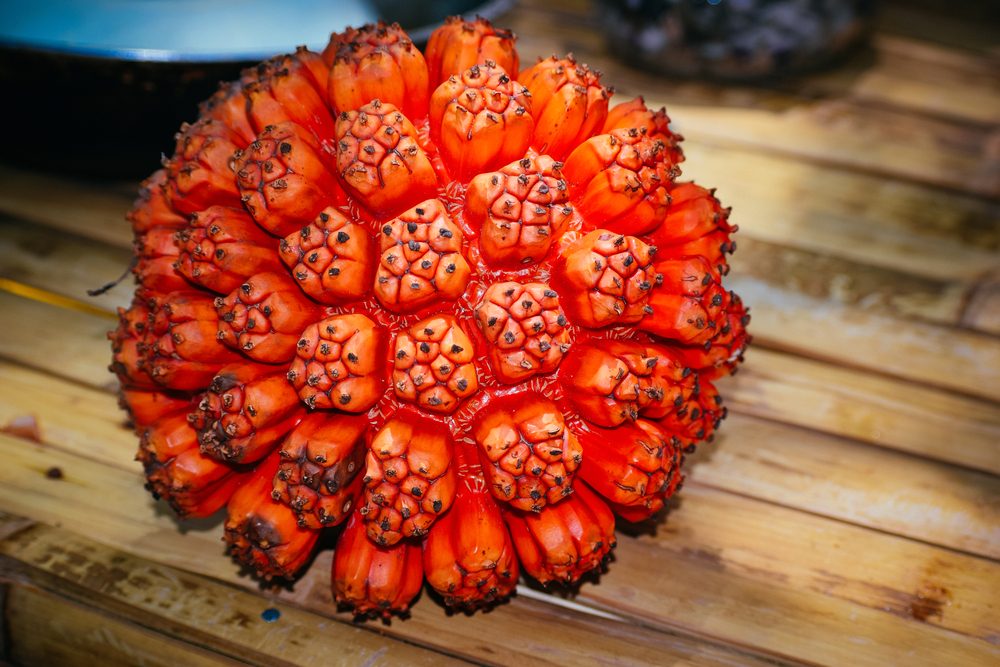 هالا