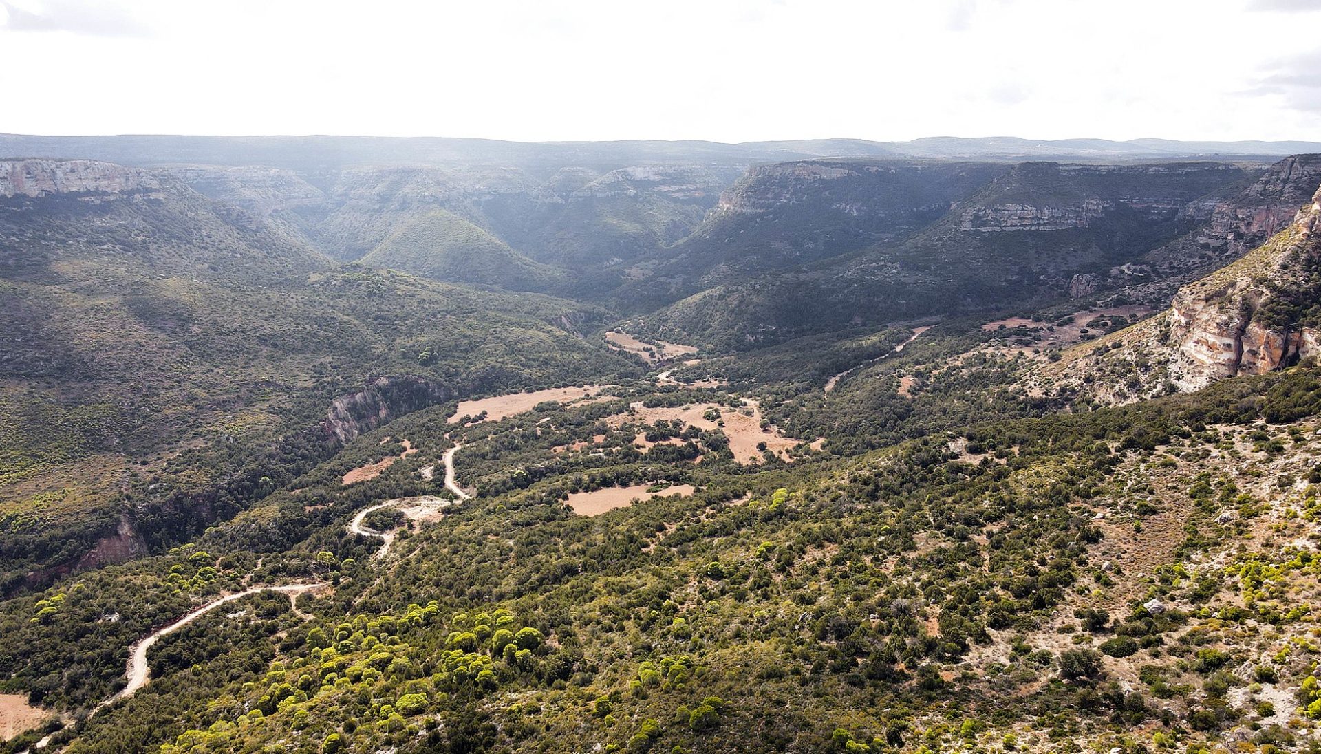 تاريخ درنة