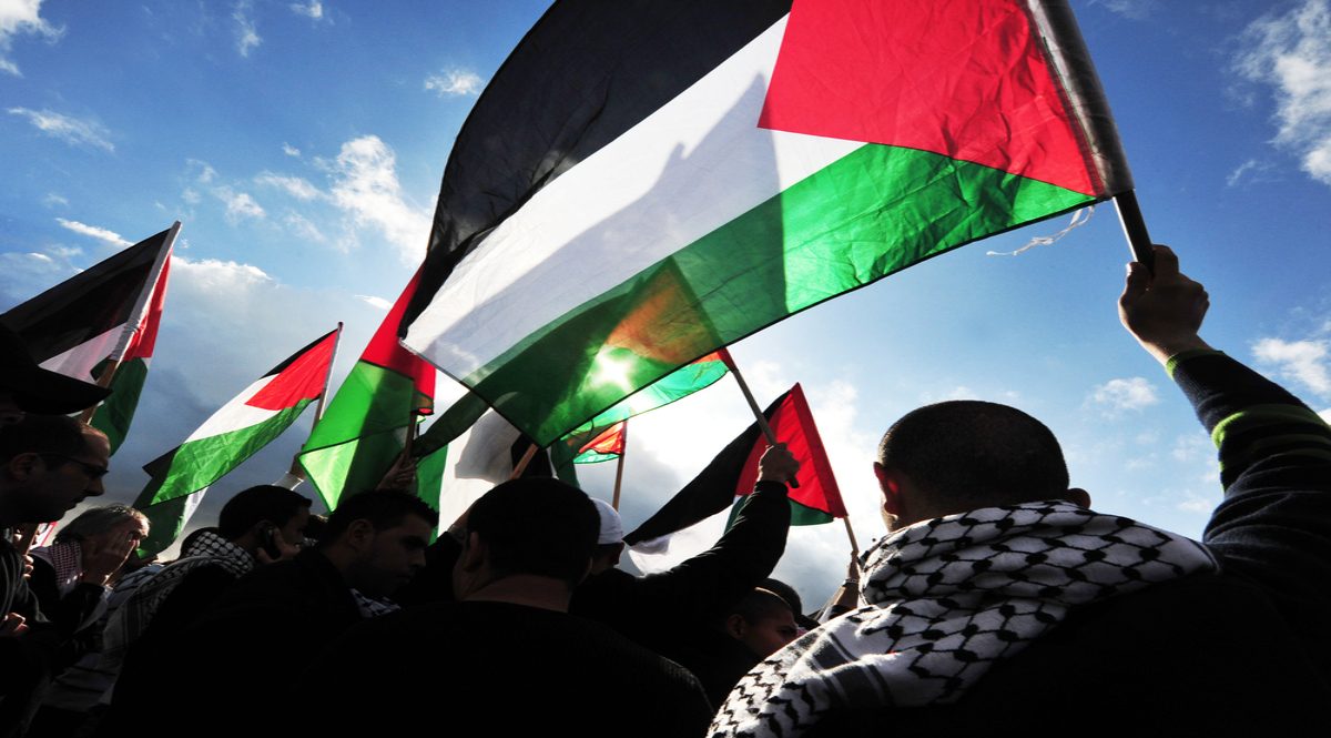 أبكي كل صباح على عجزنا وضعفنا.. أنا مصري وهذه قصتي مع فلسطين