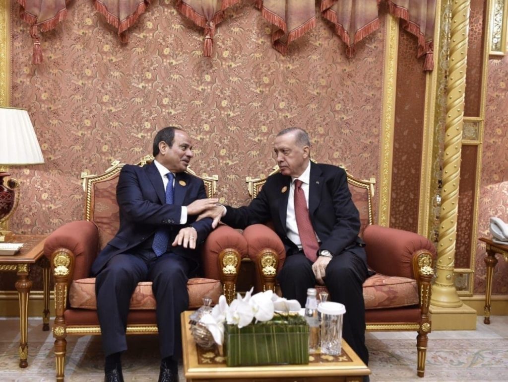 أردوغان والسيسي