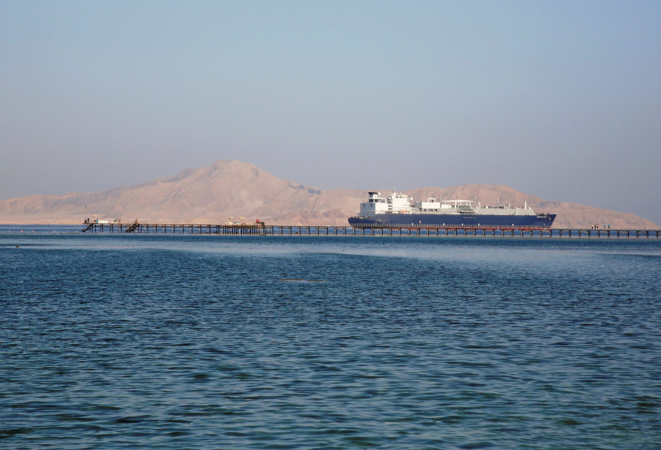 مصر جسم طائر