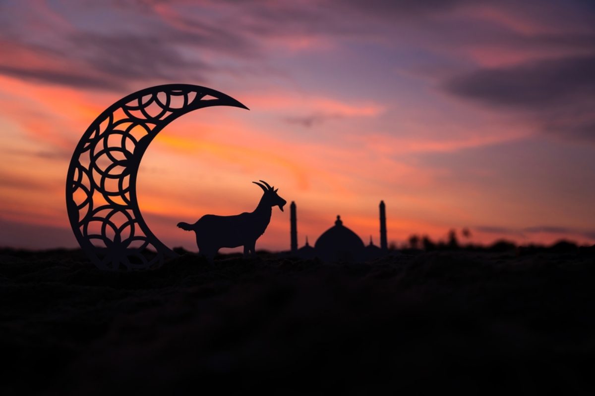 عيد الأضحى المبارك.. شعائر الإيمان ومعاني التضحية والإحسان 